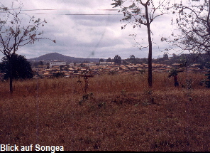 Blick auf Songea