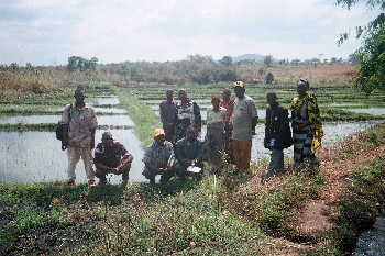 Mtyangimbole11
